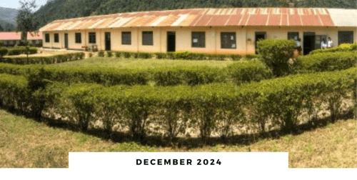 December 2024 newsletter